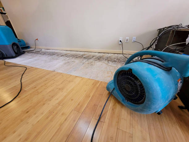 Professional Flood Damage Cleanup technician working in Elgin, AZ